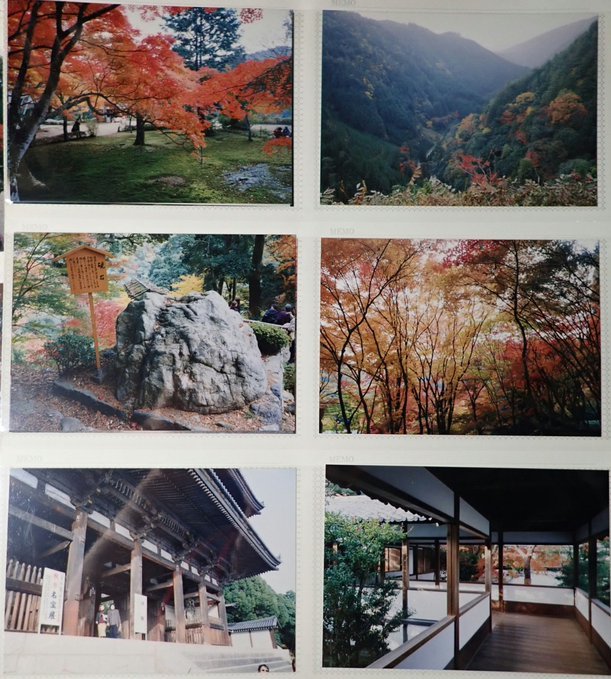 2020/6/30conc.-7/6am2:38紙焼き写真:京都上醍醐ほか・首里城と波ノ上宮・狩りするダツ・陽石と田の神さあ・茅の目・大阪城・石上神宮・目黒不動_b0116271_14383952.jpg