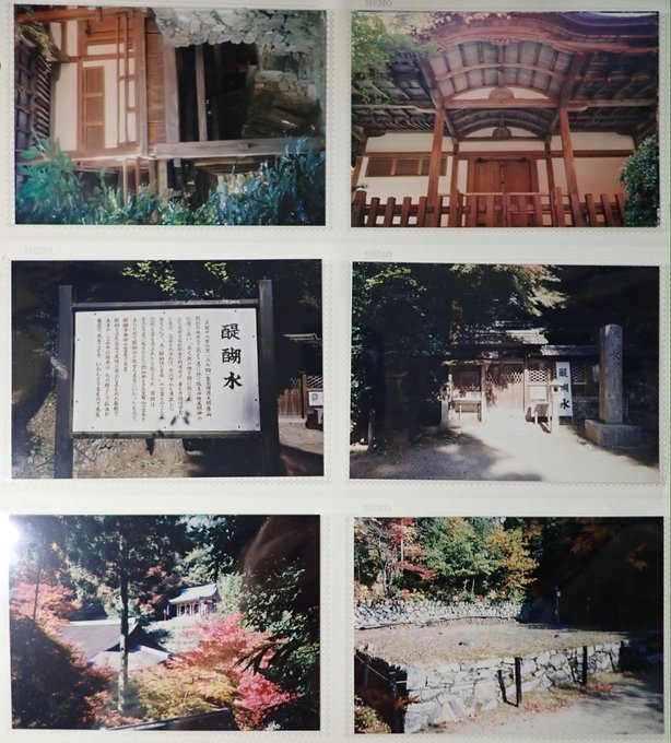2020/6/30conc.-7/6am2:38紙焼き写真:京都上醍醐ほか・首里城と波ノ上宮・狩りするダツ・陽石と田の神さあ・茅の目・大阪城・石上神宮・目黒不動_b0116271_14403429.jpg