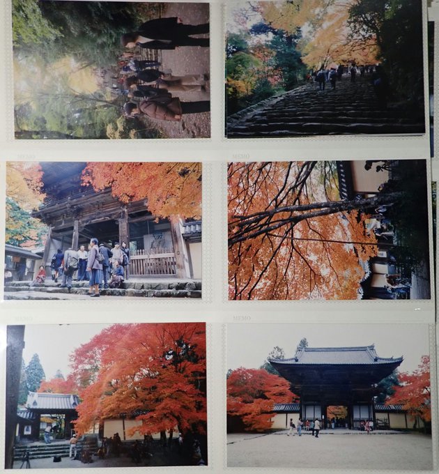 2020/6/30conc.-7/6am2:38紙焼き写真:京都上醍醐ほか・首里城と波ノ上宮・狩りするダツ・陽石と田の神さあ・茅の目・大阪城・石上神宮・目黒不動_b0116271_14403476.jpg