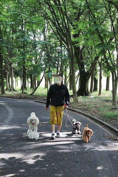 のどかな日曜日。_b0111376_15355135.jpg