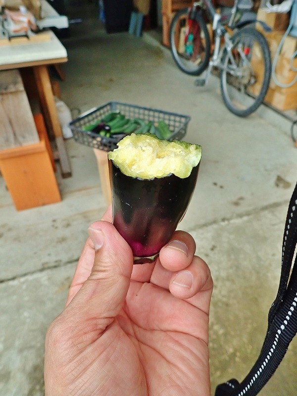 兼業農家の家庭菜園を覗いてみました_c0336902_18060867.jpg