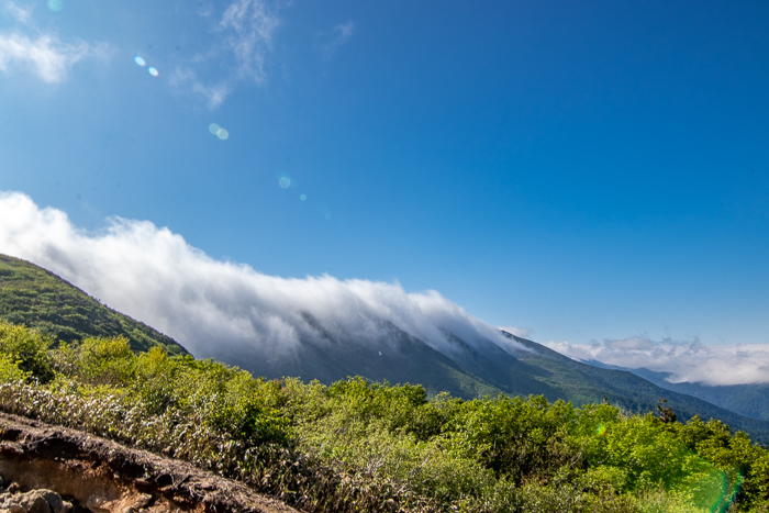 ナツヤマはじめました　巻機山_b0244811_08375313.jpg