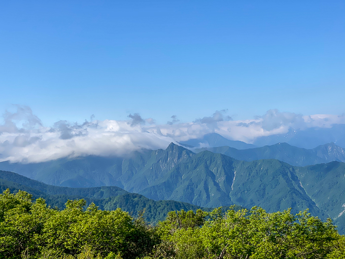 ナツヤマはじめました 巻機山_b0244811_20084072.jpg