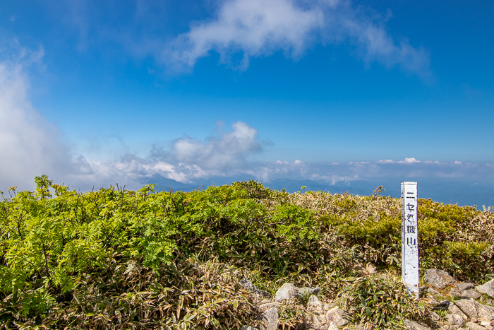 ナツヤマはじめました 巻機山_b0244811_23184136.jpg