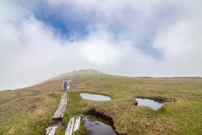 ナツヤマはじめました 巻機山_b0244811_23411186.jpg
