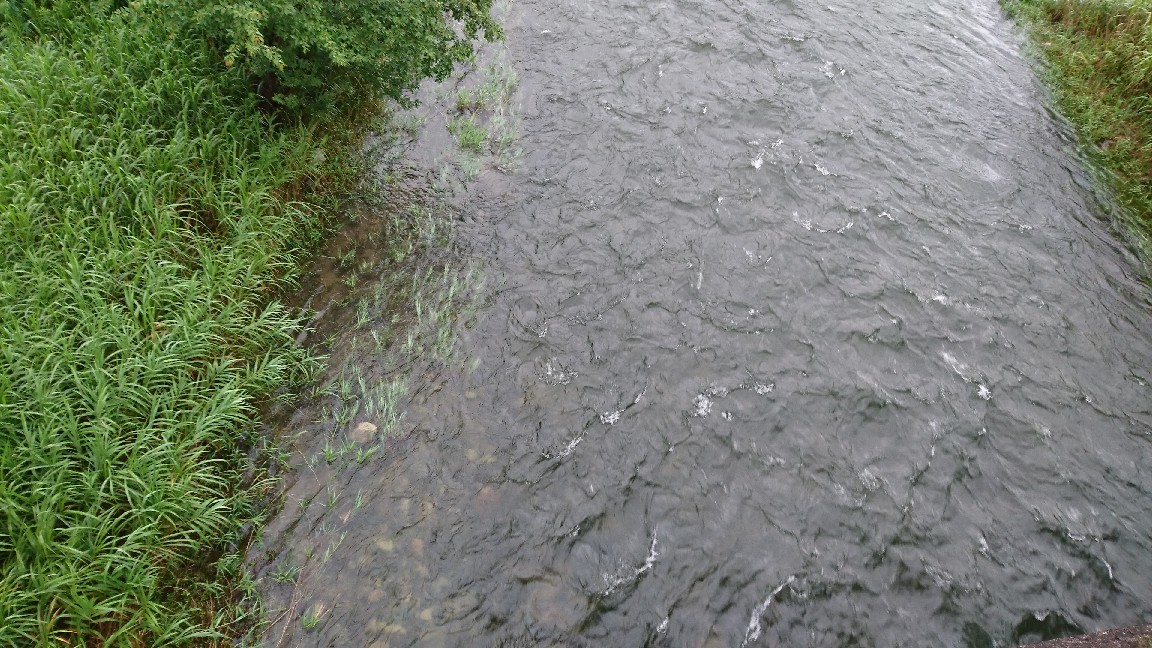 7月7日 河川情報。午前..._c0266737_06091144.jpg