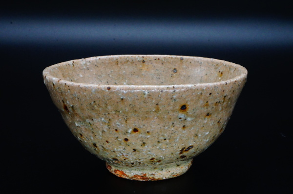 坪井俊憲 うつわ展 明日からです(7/8~7/13)_b0132442_20154479.jpeg