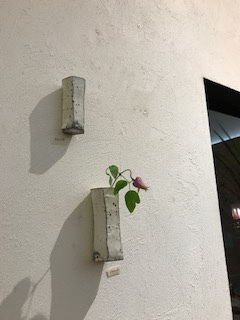 坪井俊憲 うつわ展 明日からです(7/8~7/13)_b0132442_21424136.jpeg