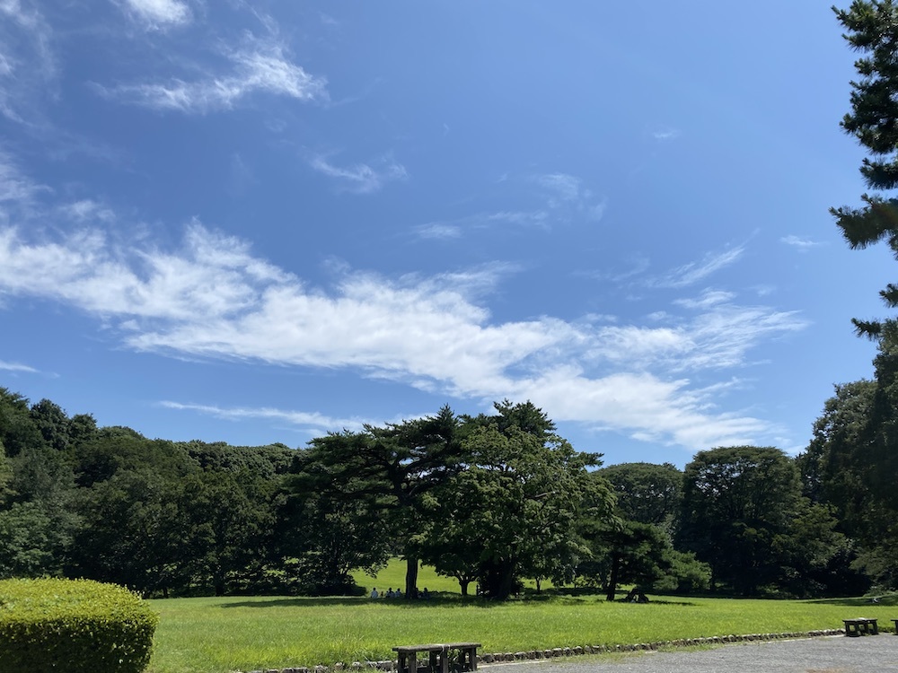 命は丸ごと、いとおしい_c0113755_19085791.jpeg
