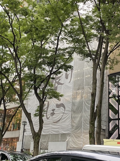 命は丸ごと、いとおしい_c0113755_19094873.jpeg