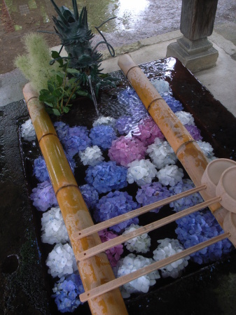 花手水と茅の輪くぐり@蚕養神社。_c0141989_01592968.jpg