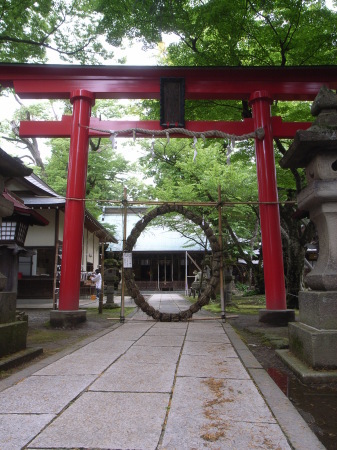 花手水と茅の輪くぐり@蚕養神社。_c0141989_01595995.jpg
