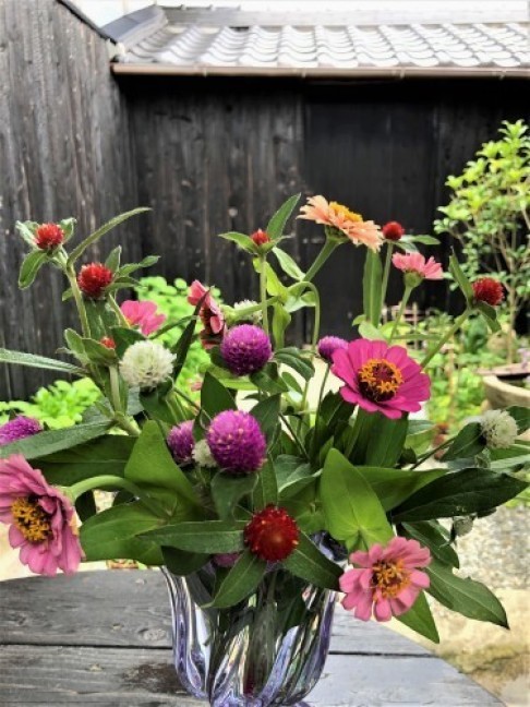 梅雨の晴れ間に お花の手入れ_a0346704_20150243.jpg