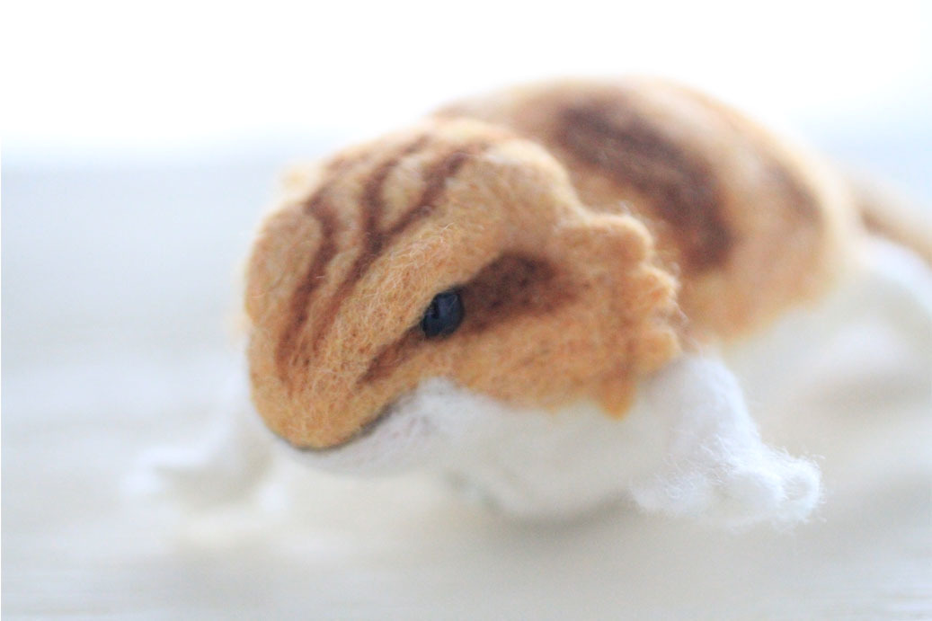 フトアゴヒゲトカゲのポーチ : Wool 120%