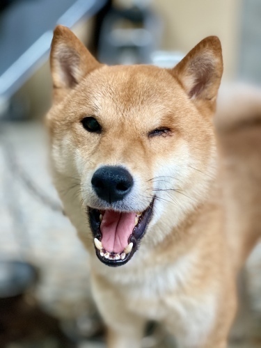 一夜明けて_e0071035_17414755.jpeg