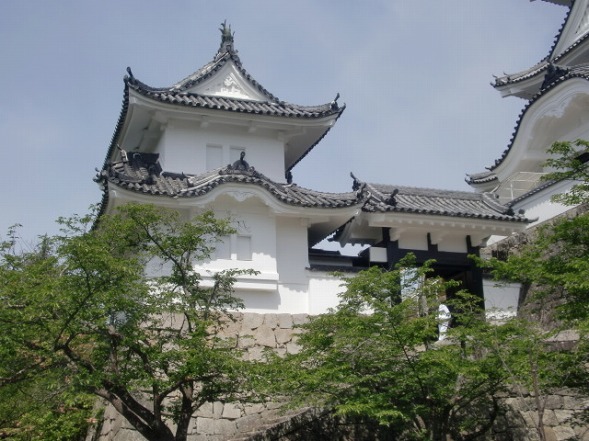 伊賀上野城_b0299042_20212133.jpg