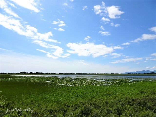 海へ野へ Mooseすね肉ポットロースト_d0356844_12595089.jpg