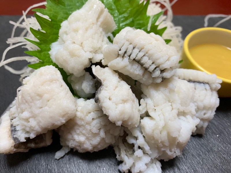 鱧の湯引き からし酢味噌添え 心のままに