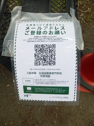 初夏の八紘学園へ_b0198109_06434190.jpg