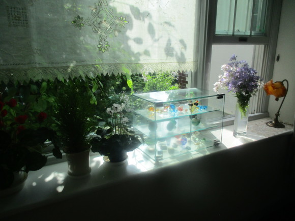 Kちゃんからの贈り物&宿根草が色々_a0279743_13263186.jpg