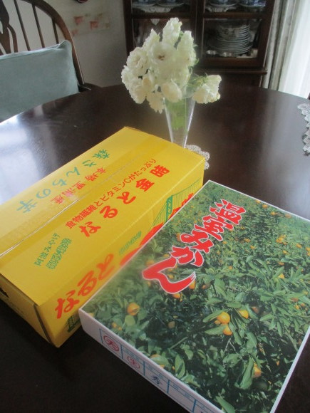 Kちゃんからの贈り物&宿根草が色々_a0279743_13323029.jpg