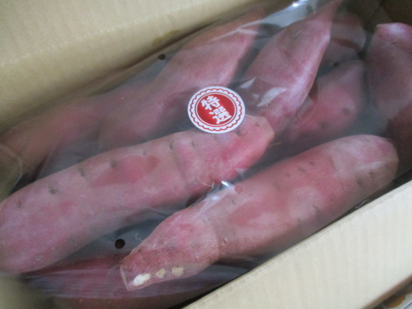 Kちゃんからの贈り物&宿根草が色々_a0279743_13342413.jpg