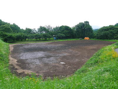無農薬栽培の白エゴマ油『ピュアホワイト』令和2年度の白エゴマの定植は雨との戦いです!_a0254656_17063869.jpg