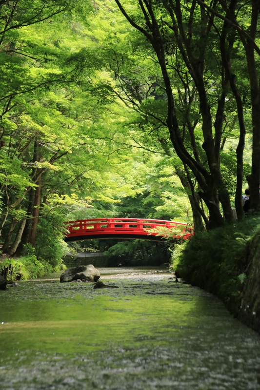 小国神社の夏･1♪　～宮川沿い～_a0167759_1743115.jpg