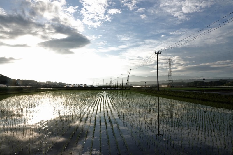 何日ぶりかの青空 天気予報は雨 曇り 晴れは欲しいところが 何か気持ち悪い 気ままなポタリング 何日ぶりかの青空 天気予報は雨 曇り 晴れは欲しいところが 何か気持ち悪い 気ままなポタリング