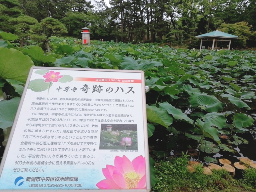 ★出張ウォーキングDAY★_f0351775_22583741.jpg