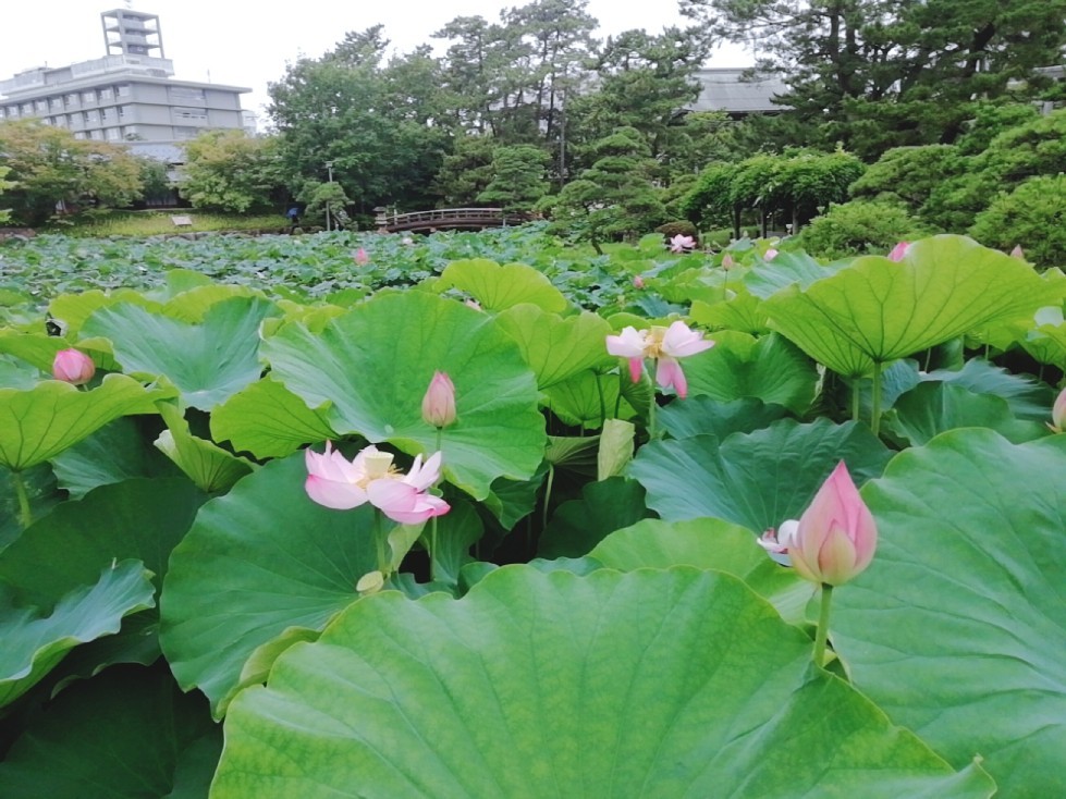 ★出張ウォーキングDAY★_f0351775_22591258.jpg