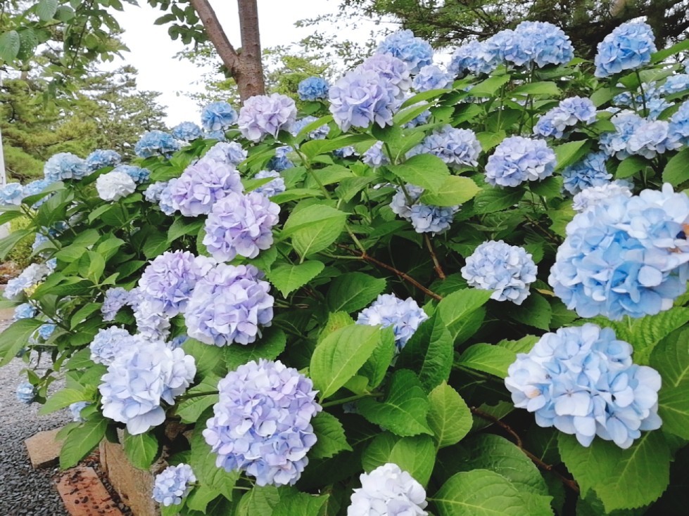 ★出張ウォーキングDAY★_f0351775_23001781.jpg