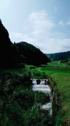 短い支柱_d0195183_00253238.jpg