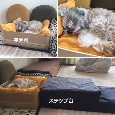 病院デーと箱入り王子w_f0372998_19370742.jpg