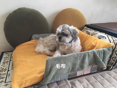 病院デーと箱入り王子w_f0372998_19374582.jpg