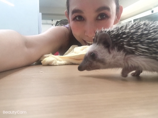 ハリネズミって!_a0050302_11531101.jpg