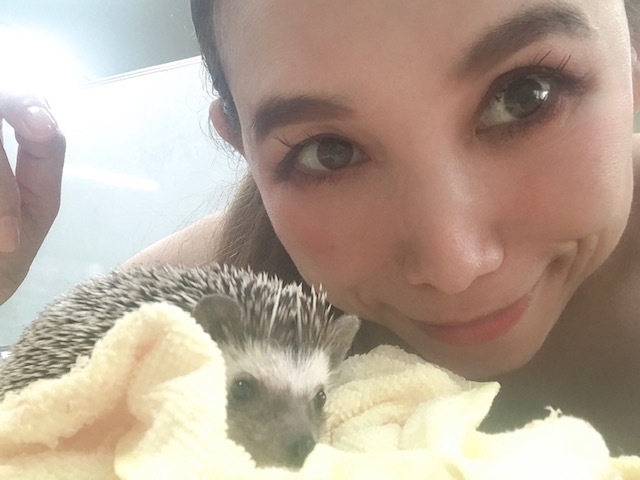 ハリネズミって!_a0050302_11533092.jpg