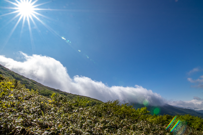 ナツヤマはじめました 巻機山_b0244811_16133954.jpg