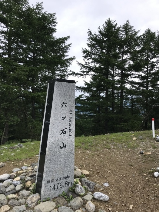 2020年7月5日、水根～六ツ石山～水根山～水根沢林道～水根_b0037220_21473010.jpg