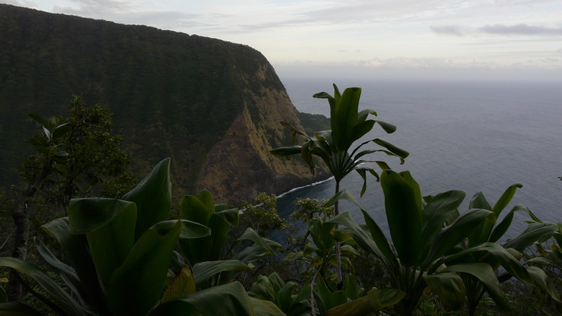 社員旅行（2009年ハワイ島／ワイマヌ）_d0366725_12293567.jpg