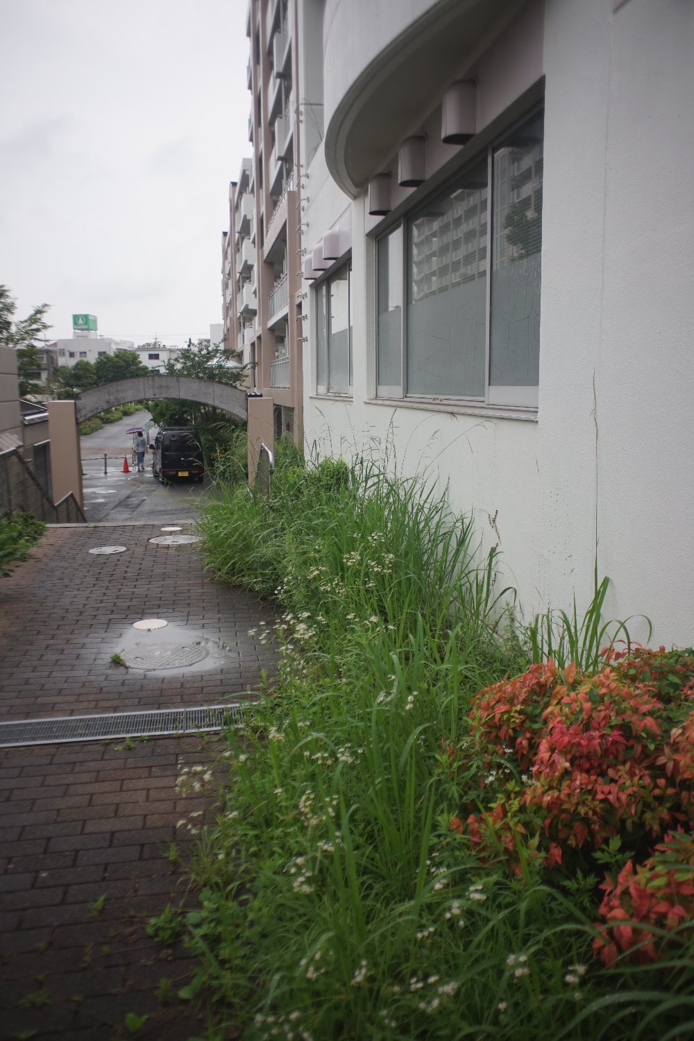 謎の Hanimex Automatic MC 28mm F2.8 の 写り_b0069128_20303038.jpg