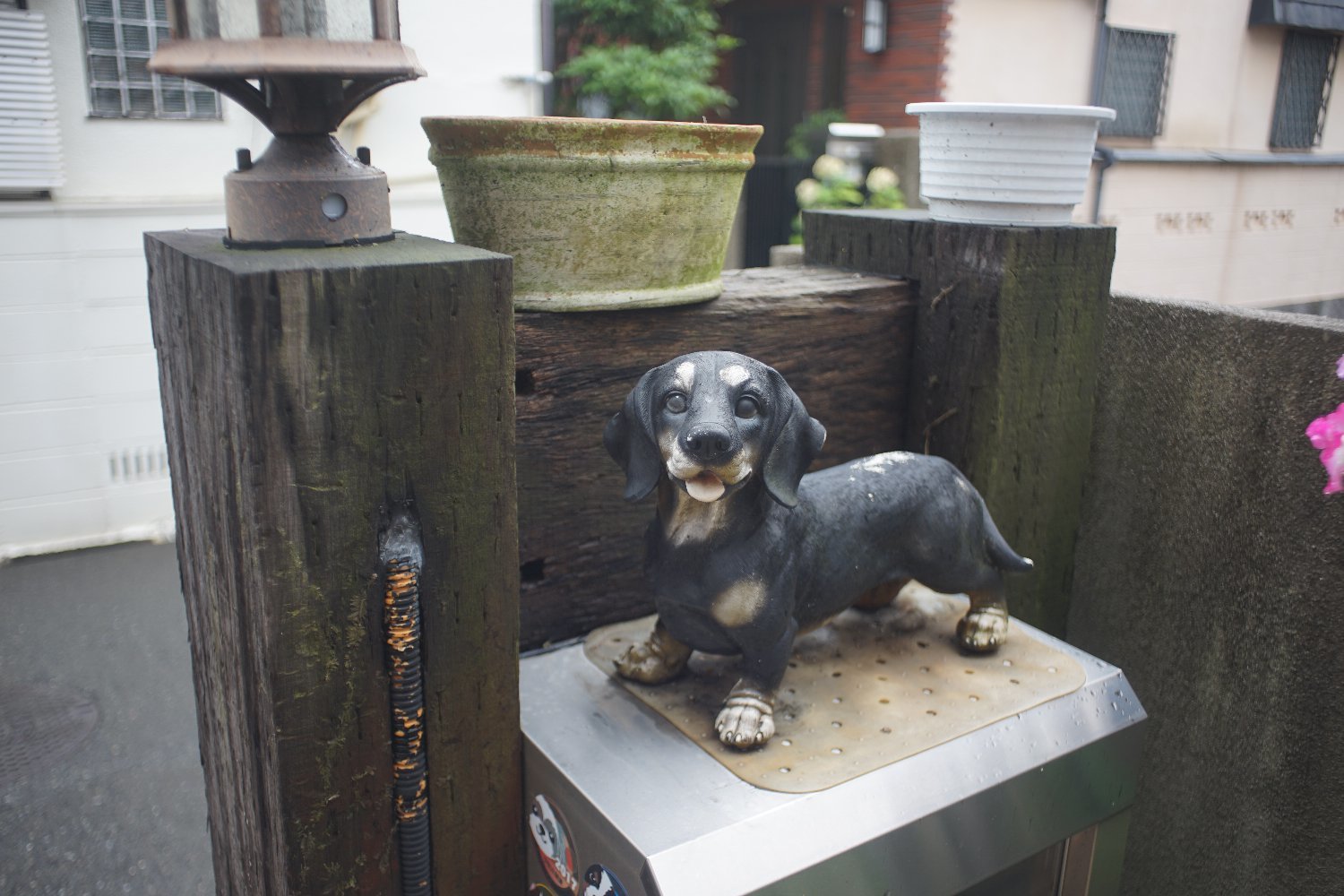 謎の Hanimex Automatic MC 28mm F2.8 の 写り_b0069128_20303697.jpg