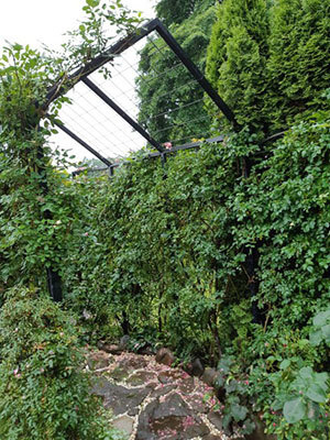 雨の止み間のチャンスに_a0276937_10101812.jpg