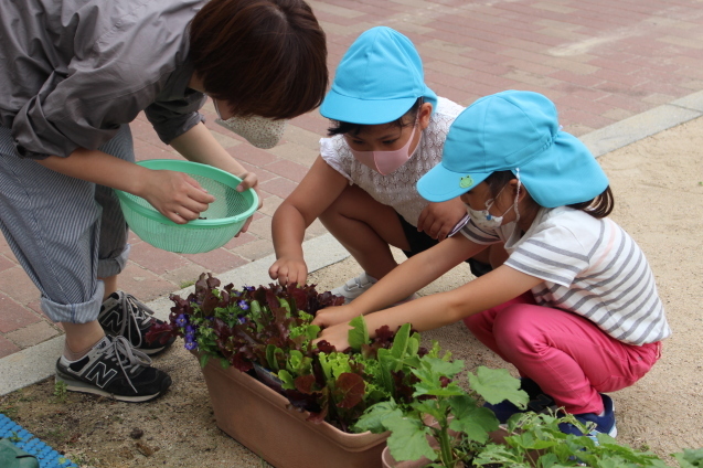 6月の千鳥幼稚園のこどもたち（その2）_e0209845_16595376.jpg