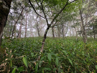 新山旅号_f0019247_16542930.jpg