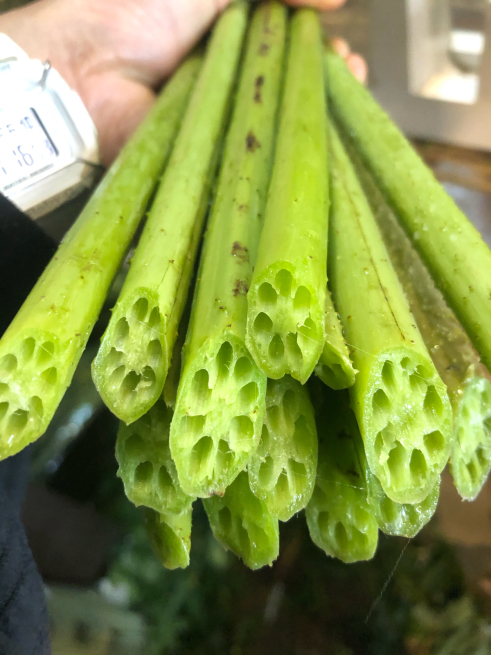 お盆 蓮の花あります 目黒区 都立大の 花屋 Moco 花と 植物で楽しい毎日 一人で全力で営業中