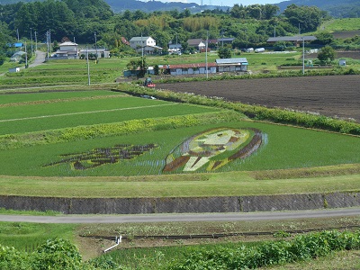 群馬　高山村　田んぼアート_a0290852_7274219.jpg