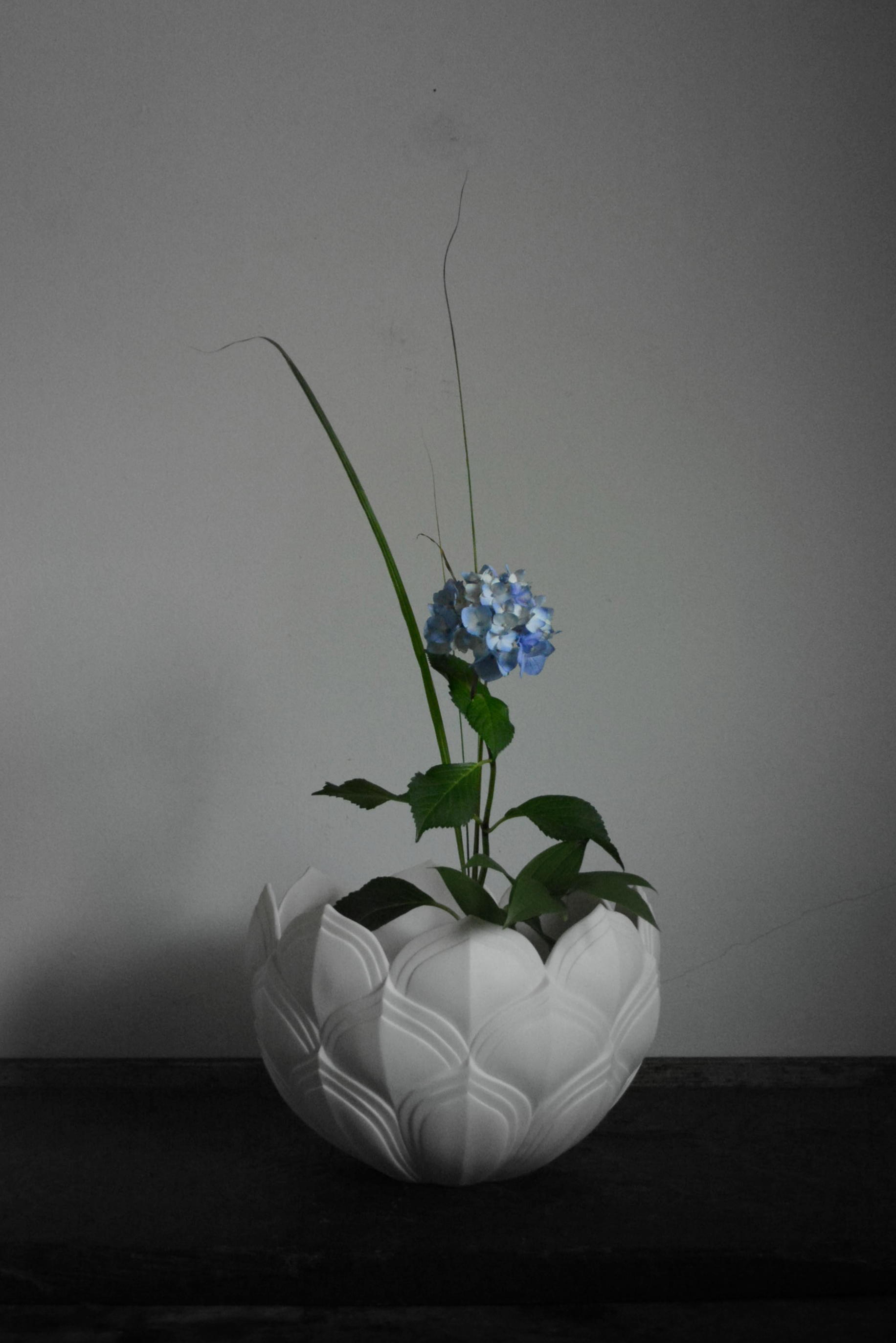 「若杉聖子展 PORCELIAN LOTUS」7日目_d0087761_0123770.jpg