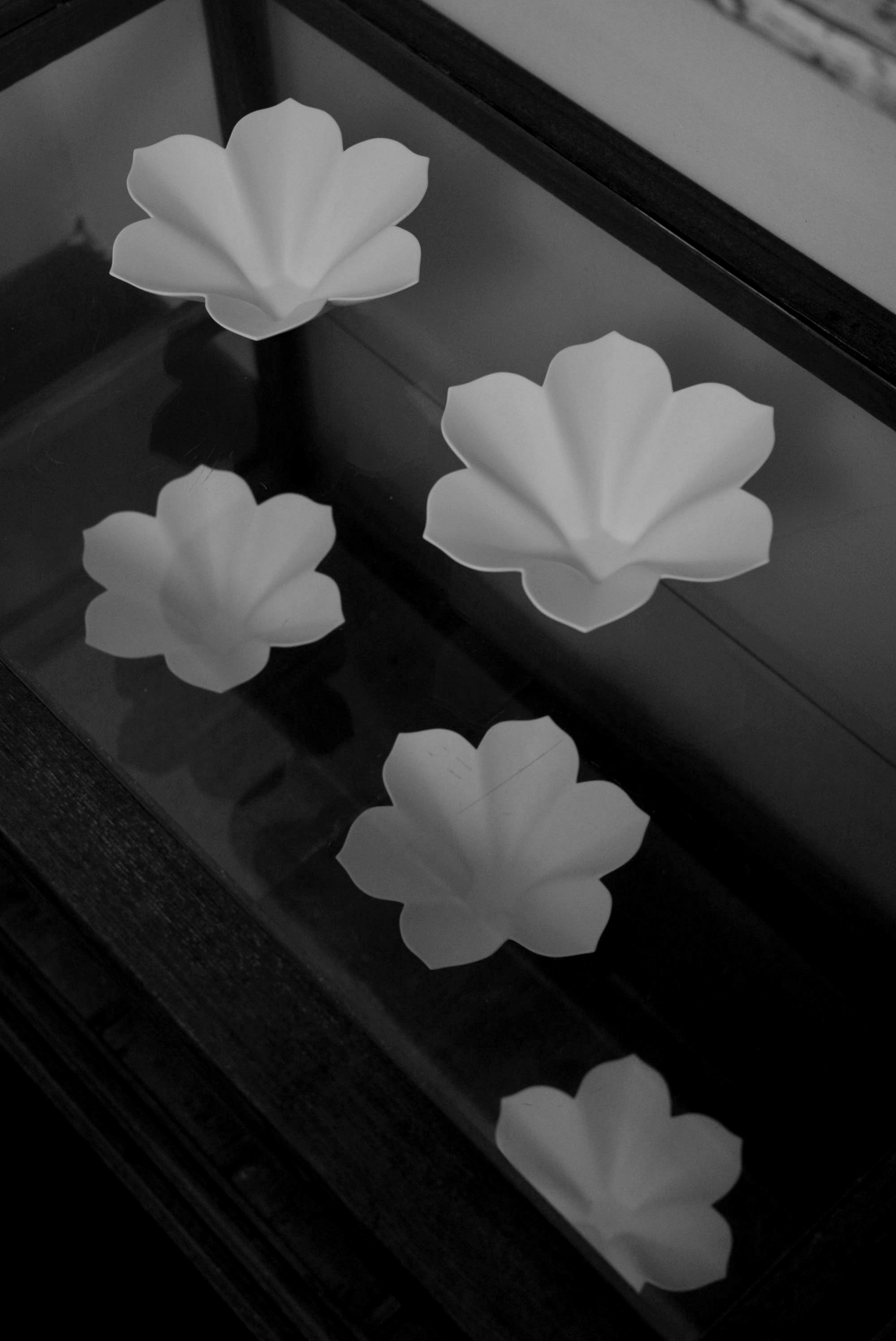 「若杉聖子展 PORCELIAN LOTUS」7日目-3_d0087761_19532834.jpg