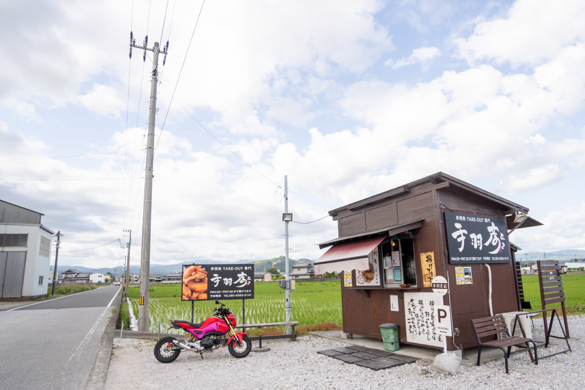 高知市(国道195号線)→徳島県(国道55号線)へ、室戸経由で帰宅 その4[手羽彦]_a0077663_15131218.jpg